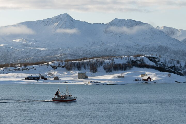 Sommarøy Arctic Day Trip - Photo 1 of 13