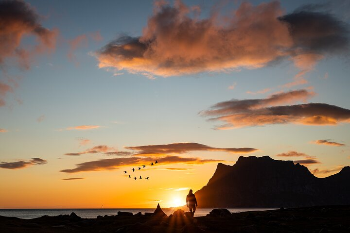 Tour of the authentic fjords of Kvaløya to Sommarøy - Photo 1 of 15