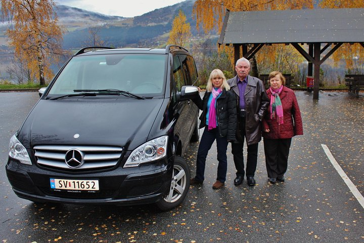 Mercedes V-class