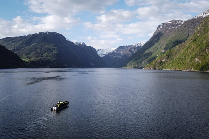 Ulvik scenic RIB adventure tour to Osafjord - Photo 1 of 25