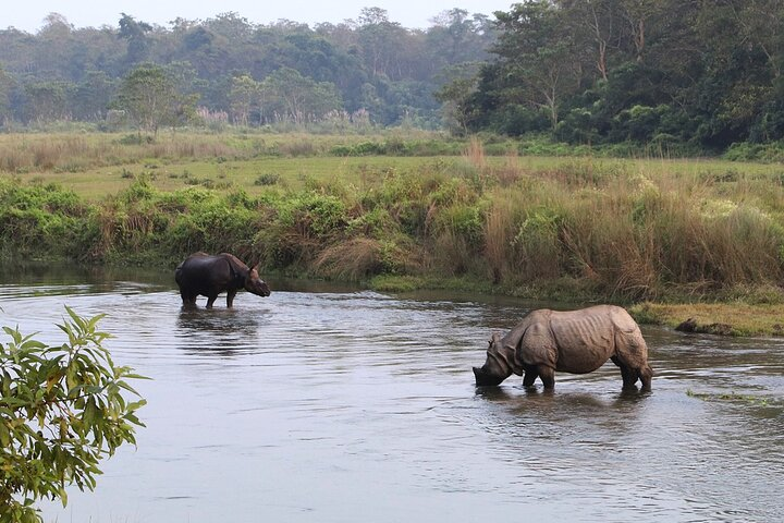 Chitwan national park