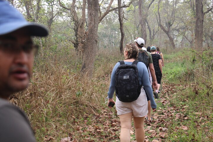 3-Day Chitwan National Park Jungle Safari Tour Package with Pick Up - Photo 1 of 17