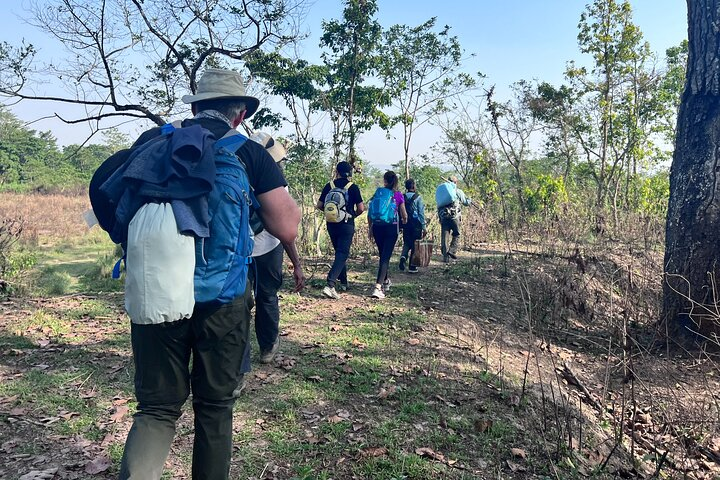 5 Days and 4 Nights Guided Walking Tour in Chitwan National Park - Photo 1 of 25