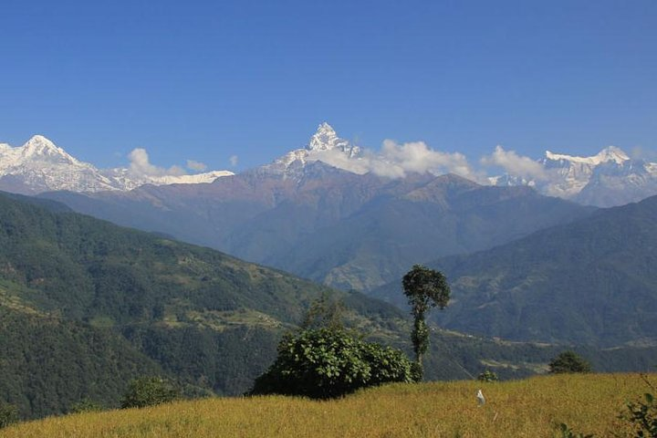 View of the Mount Fishtail