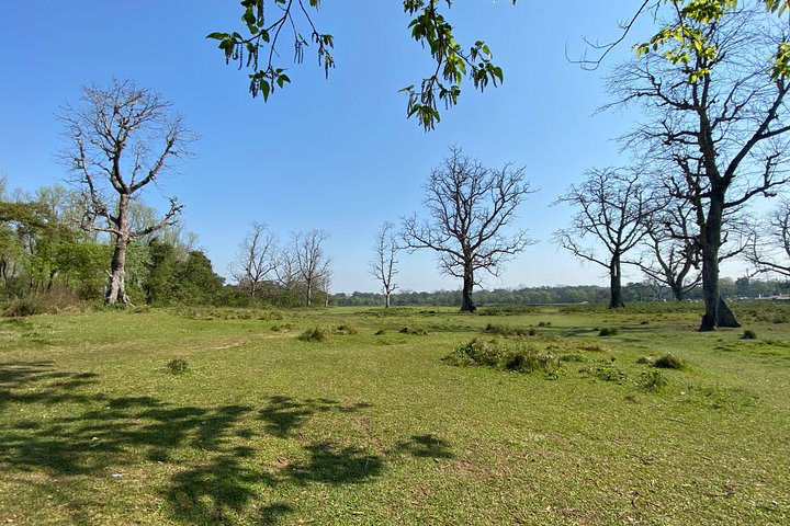 Canoeing and Nature Walk in Chitwan National Park - Photo 1 of 8