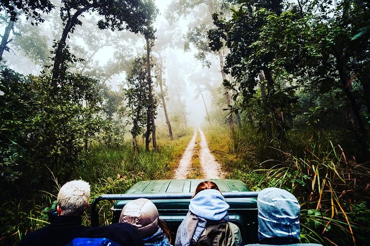 Chitwan Jungle Safari