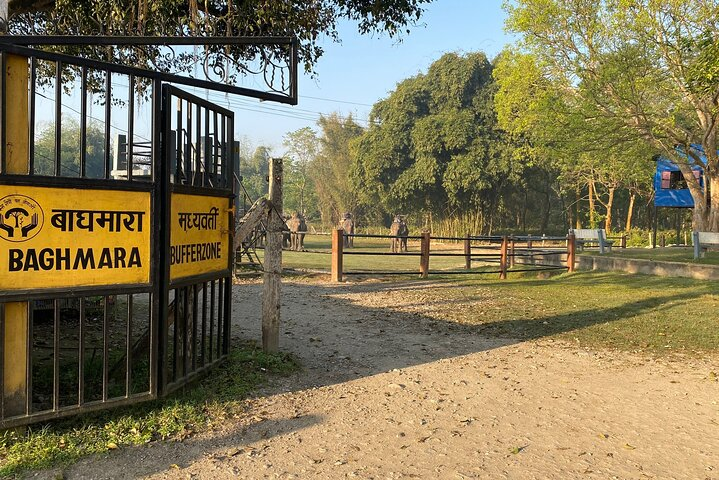 Chitwan jungle Safari 