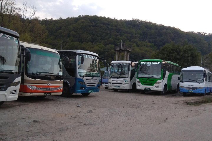 Buses ready for departure