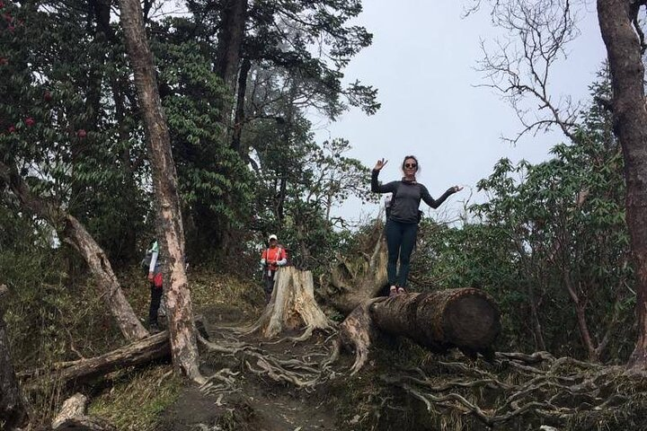 Way to Ghandruk 