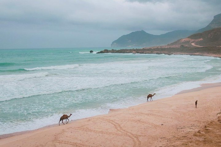 Al Fizayah beach - Photo 1 of 2