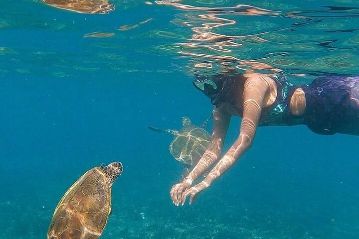 Daymaniyat Islands Snorkeling Half-Day Tour - Photo 1 of 19