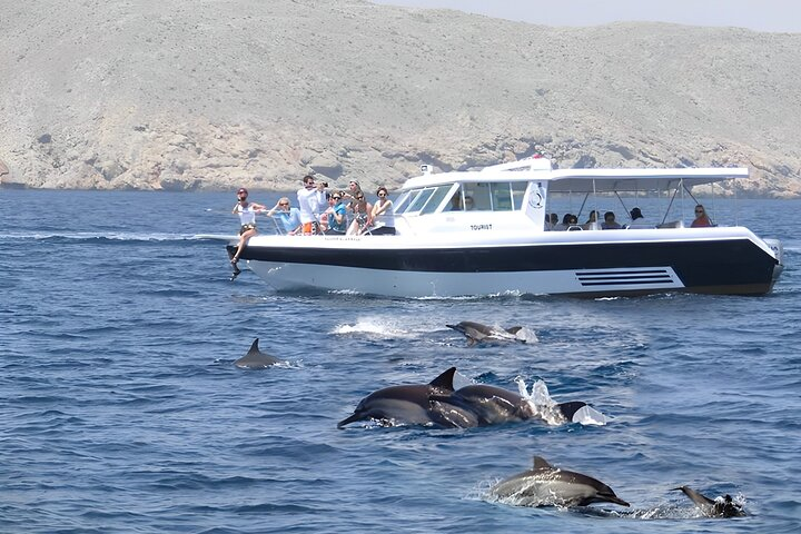 Dolphin watching