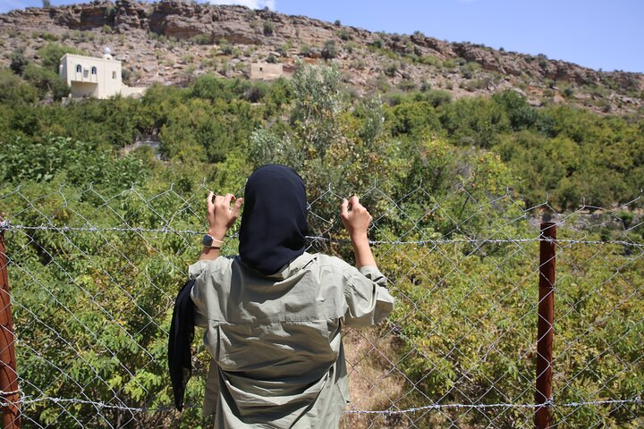 pomegranate farms 