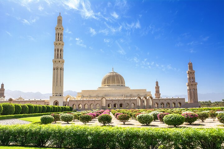 Full Day Private Shore Tour in Muscat from Muscat Cruise Port - Photo 1 of 7