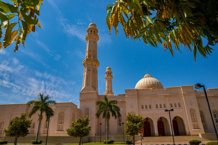 Full Day Private Shore Tour in Salalah from Salalah Cruise Port - Photo 1 of 8