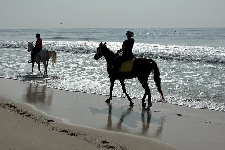 Horse riding by the beach Salalah  - Photo 1 of 2