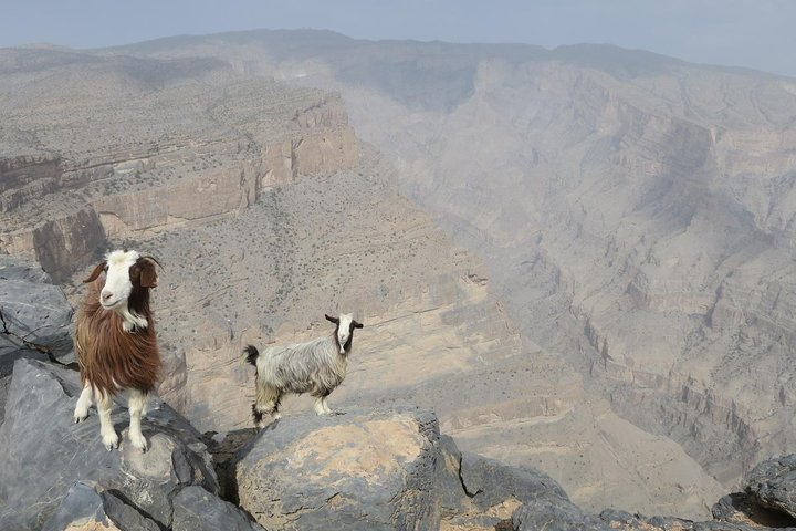 Jabal Shams (Grand Canyon) Tour - Photo 1 of 2