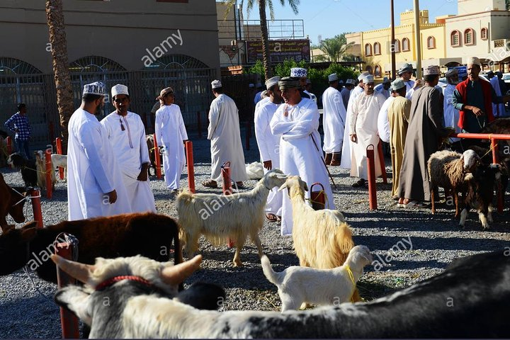 Nizwa Friday Market Jabal Chams - Photo 1 of 6