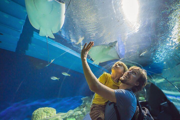 Oman Aquarium - Admission Ticket - Photo 1 of 9