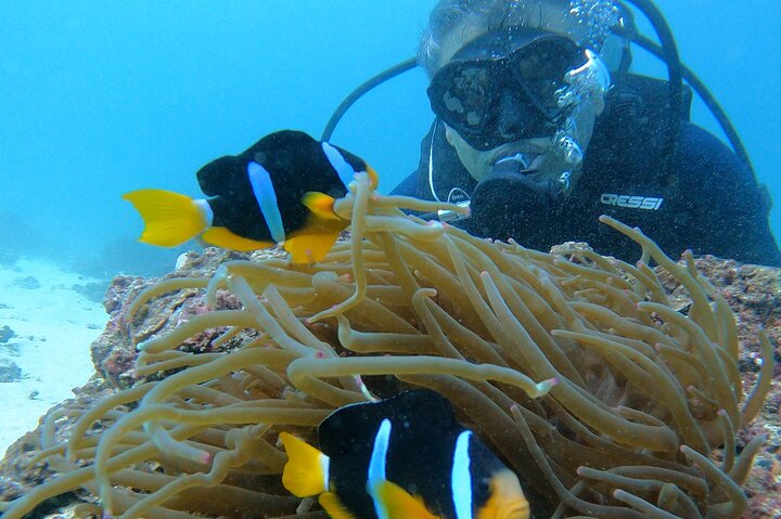  Scuba Diving in muscat  - Photo 1 of 18