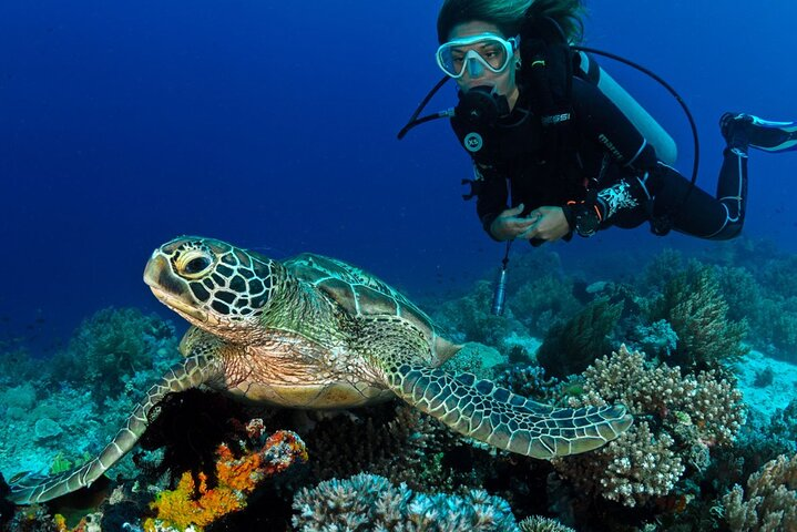 Scuba Diving to Dimaniyat Islands Muscat Oman - Photo 1 of 9