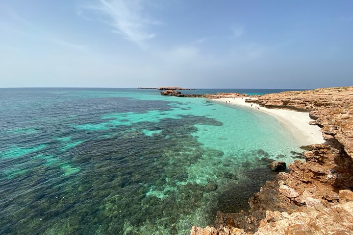 Snorkeling at Dimaniyat Islands and Dolphin Watching - Photo 1 of 25