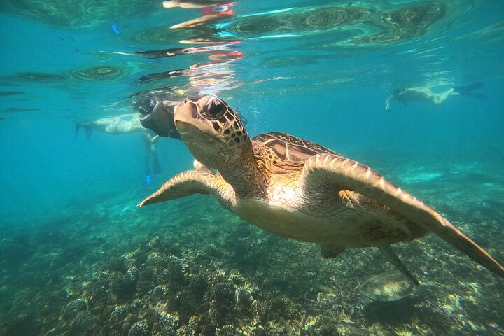 Snorkelling tours to Daymaniyat island  - Photo 1 of 25