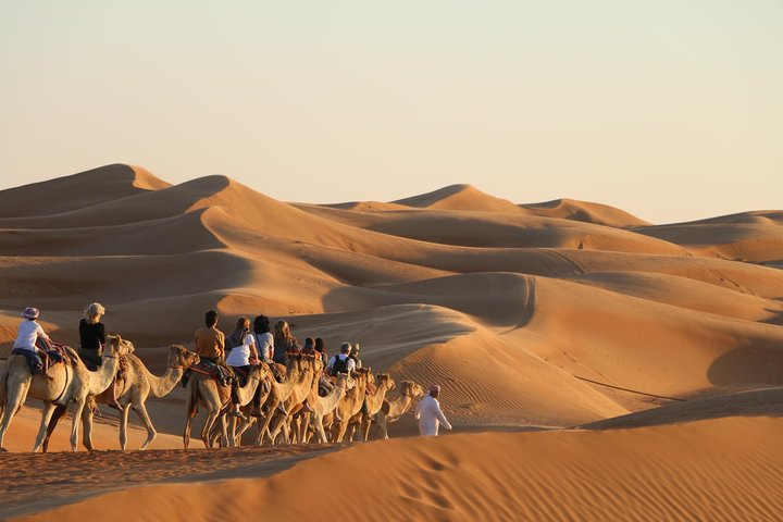 Wahiba Sands Safari with Wadi swimming and Camelride - Photo 1 of 5