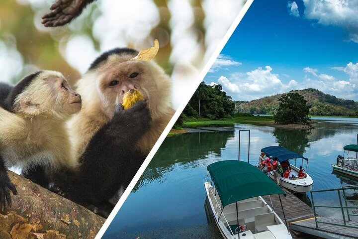 A Day With Nature: Boat Trip on Gatun Lake and The Aerial Tram - Photo 1 of 10