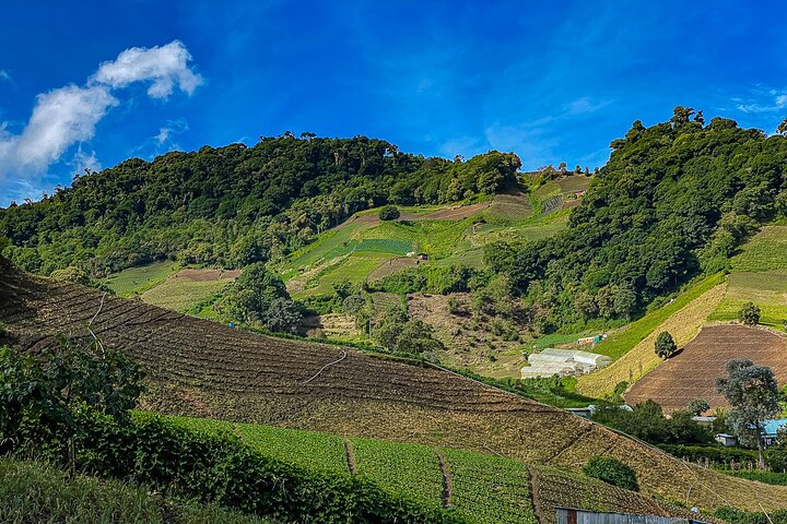 Full-Day Tour in Chiriqui Highlands with Lunch - Photo 1 of 15