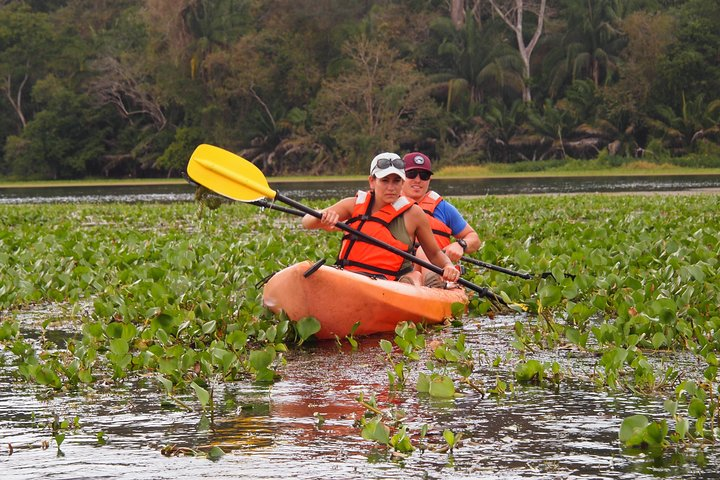 Kayaking tour in the Chagres River - Photo 1 of 24