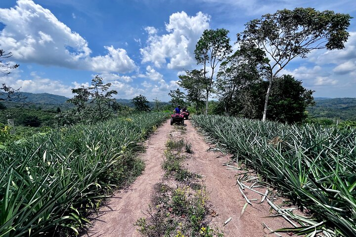 Panama’s best Mountain 4 Wheel Tour / Best Mountain ATV tour