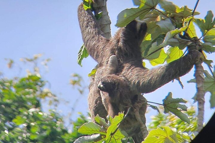 Ocean to Ocean Panama Canal and Jungle Tour - Photo 1 of 14