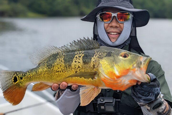 great peacock bass caught with popper by our friend James