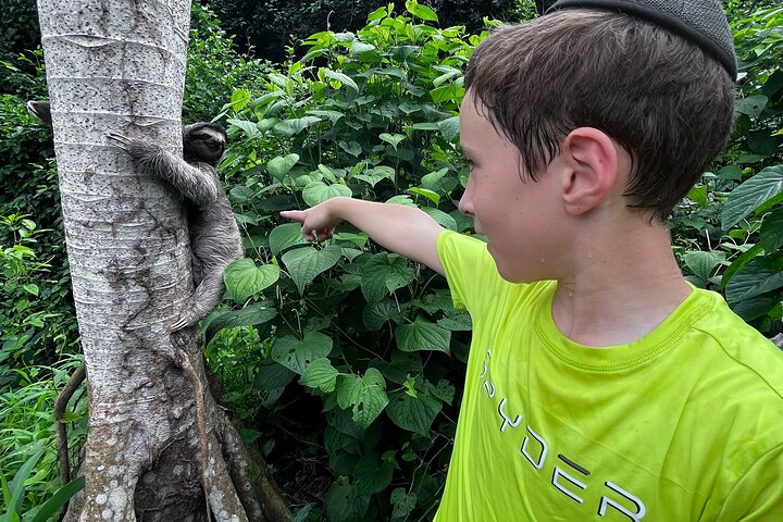 Private Panama Canal Boat + Wildlife Search - Photo 1 of 7