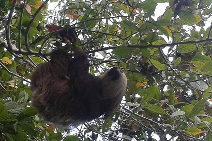 Private transportation in Panama - Photo 1 of 25