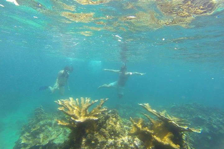 Snorkeling on The Caribbean side of Panama - Photo 1 of 18