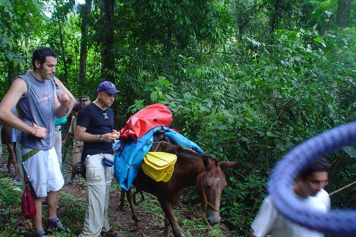 hiking with gear toward Chagres Riv