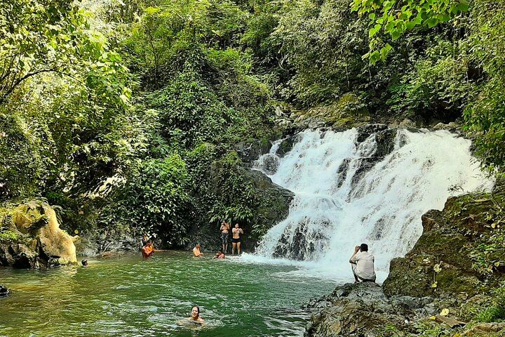 Chagres Rainforest