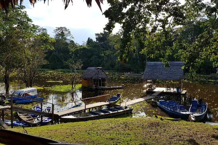 4 Day Iquitos Jungle Adventure at Muyuna Lodge - Photo 1 of 11