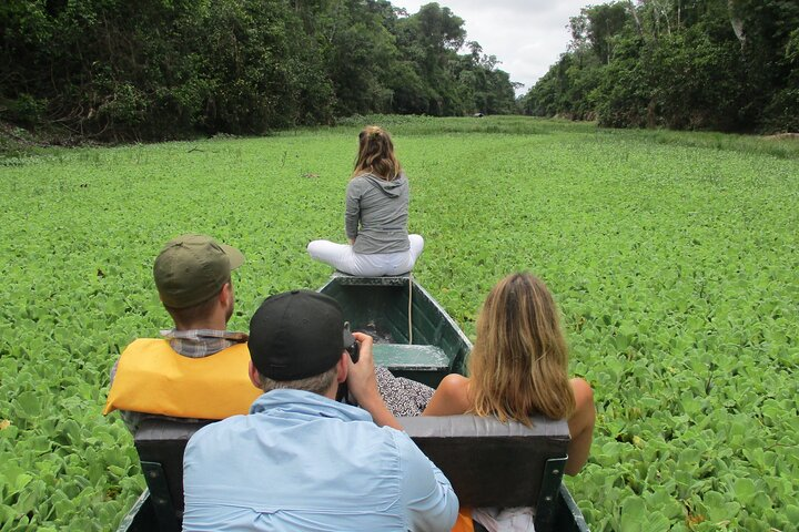 Looking for wildlife in the Amazon jungle, Tamshiyacu Tahuayo Nature Reserve.