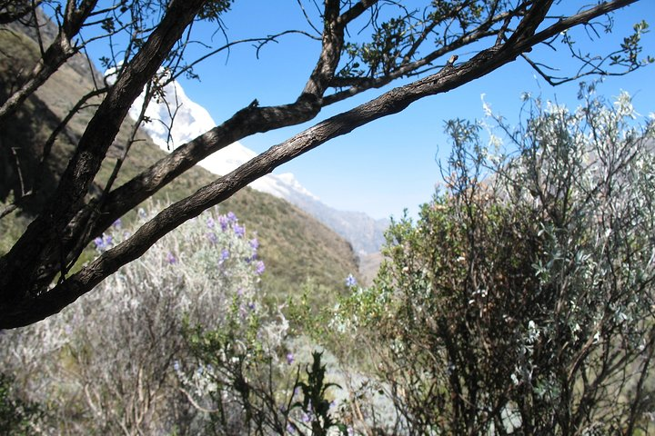 69 LAKE - HUASCARAN NATIONAL PARK / CORDILLERA BLANCA camping - Photo 1 of 5