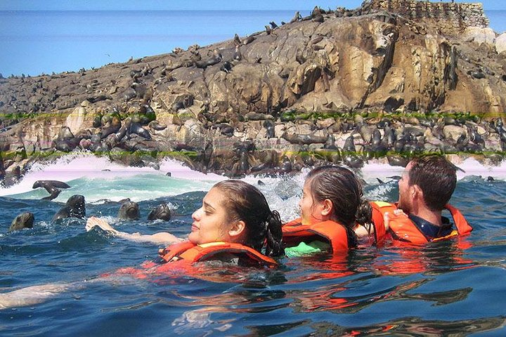 Adventure and adrenaline, swimming with SEA LIONS! & visit the Peruvian islands! - Photo 1 of 4