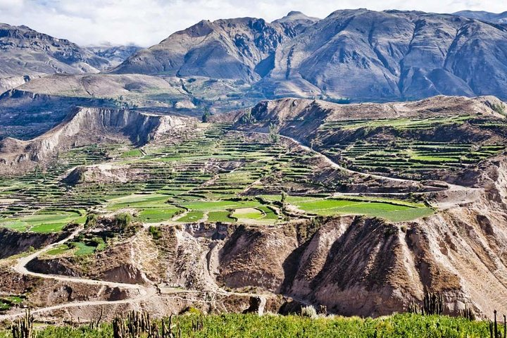 colca 2D-1N experience  - Photo 1 of 3