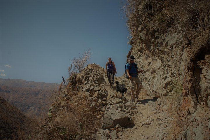 Trekking down the canyon