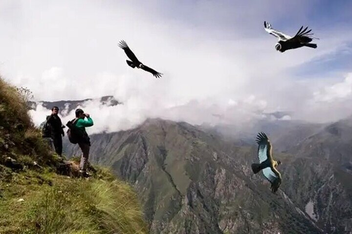 Condor Chonta viewpoint from Cusco Full Day - Photo 1 of 15