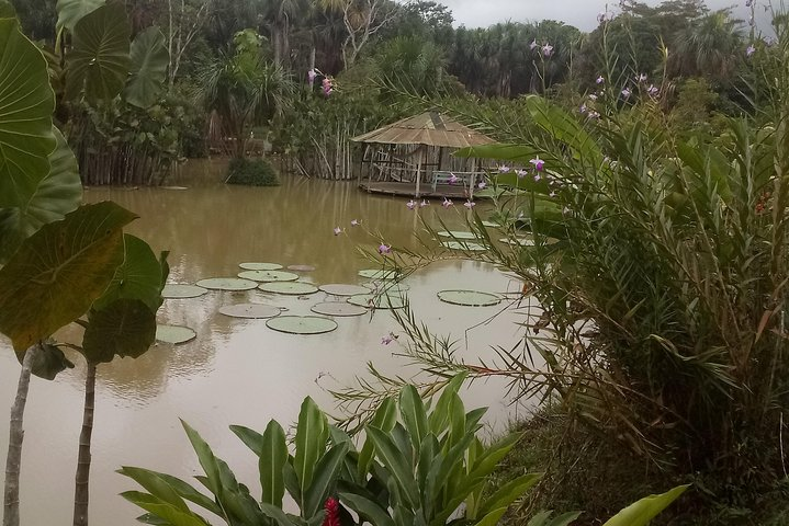 Full day amazon river