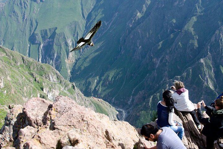 Full Day Tour to Colca from Arequipa - Photo 1 of 12