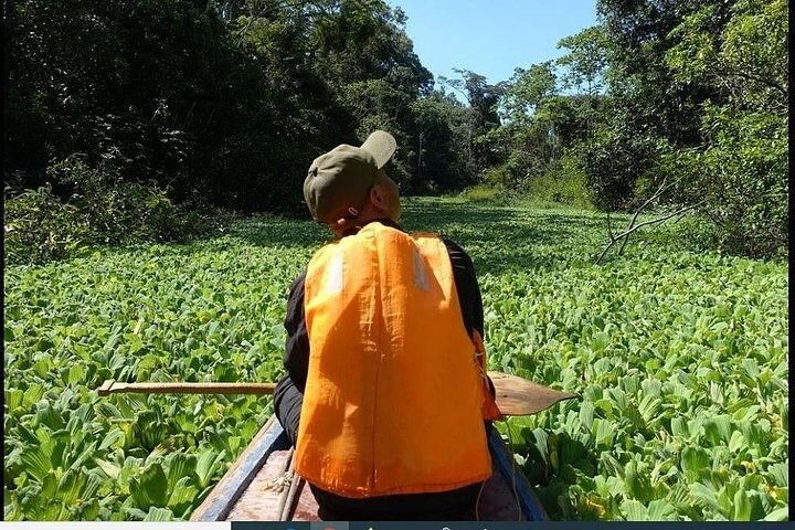 Full Jungle wildlife adventure 3/ Days 2/ Nights - Photo 1 of 11