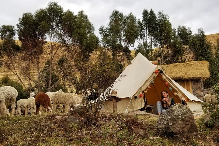 Glamping in the Sacred Valley (Viacha) - Photo 1 of 6